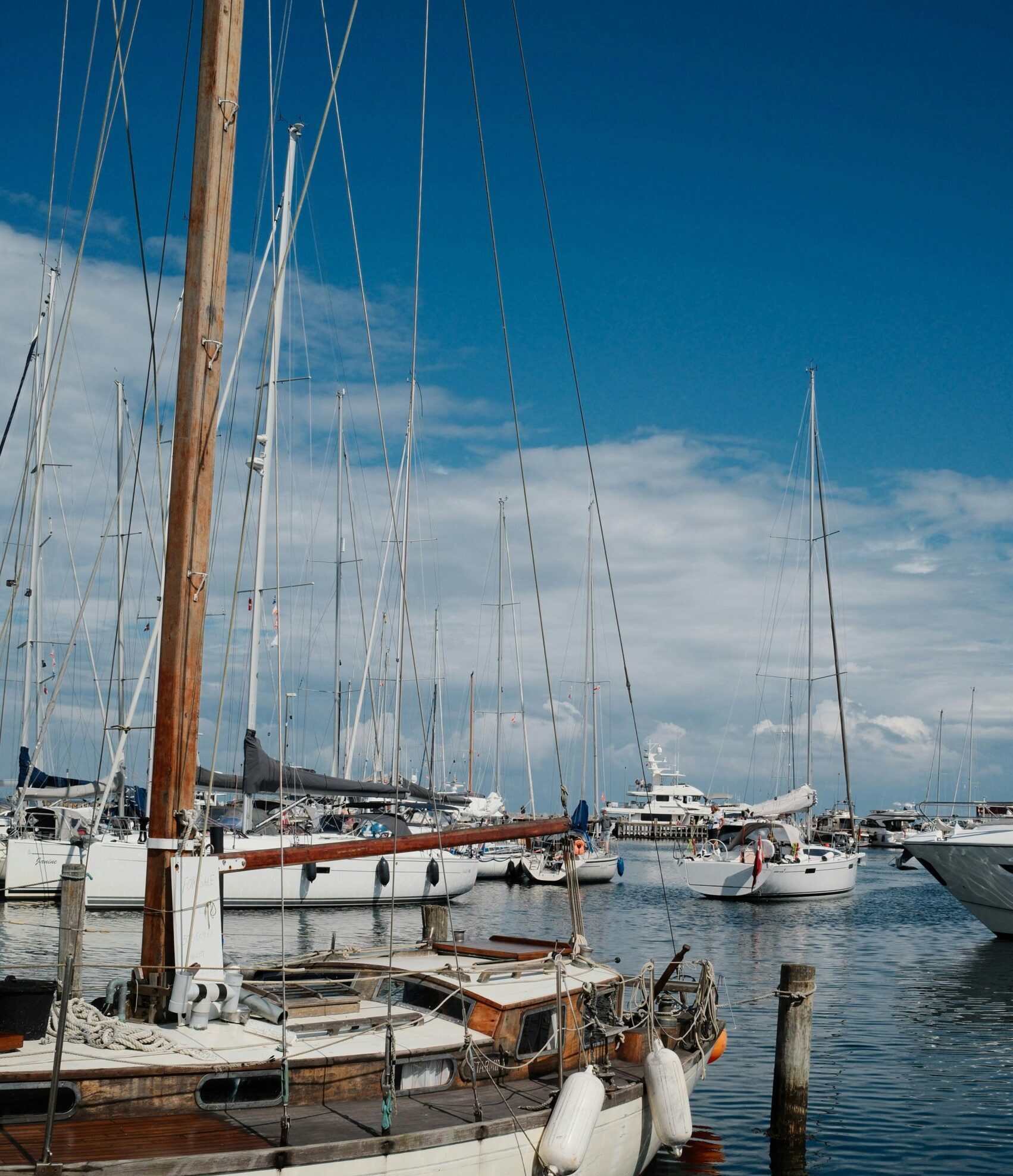 ventura harbor in water activities