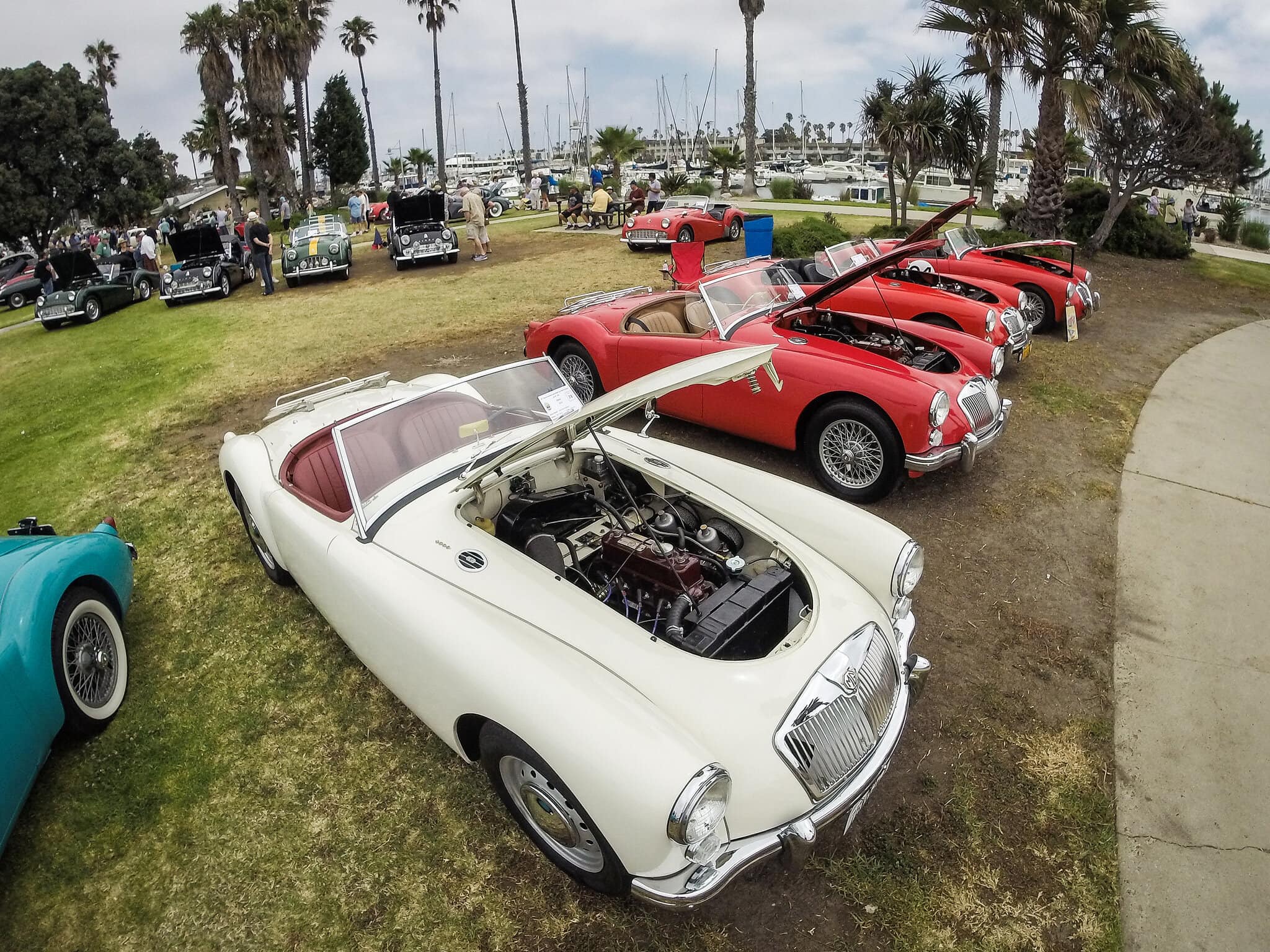 mga-show-1